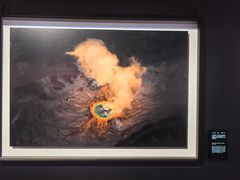 -罗红摄影艺术馆