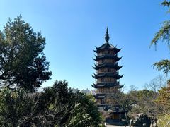 -红梅公园