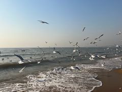 -老虎石海上公园