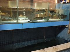 水产区-家乡饭店(里仁洞店)