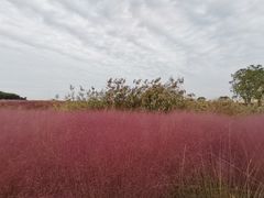 -江苏三台山国家森林公园
