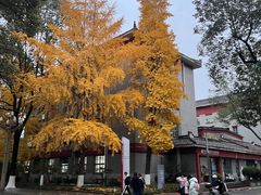 -四川大学(华西校区)