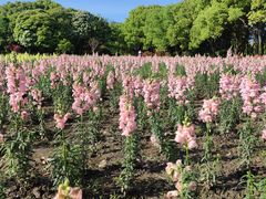 -世纪公园-世纪春沁园