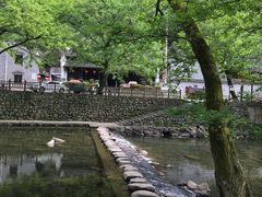 -鹿亭中村
