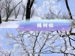 -洛阳伏牛山滑雪场