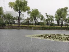 -无锡蠡湖国家湿地公园-蠡园