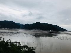 -北岐滩涂