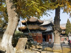 -北京艺术博物馆(万寿寺)