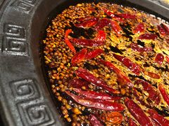 麻辣锅-重庆渝达老火锅(春熙路店)