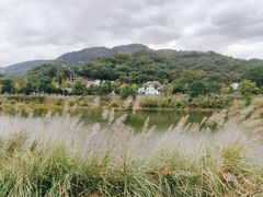 -泽雅景区