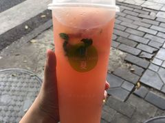 -树夏(建设路店)
