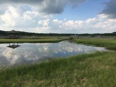 -塞罕坝国家级自然保护区