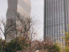 -新虹桥中心花园