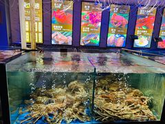 -蟹之国·精品蟹料理(极地店)