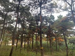 -鬼笑石后山停车场