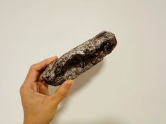 斯佩尔特谷物水果棍-佐敦面包铺·JORDAN BAKERY