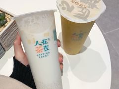 -人在茶在(华南店)