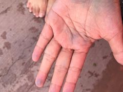 -美的鹭湖探索王国