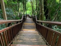 -三亚亚龙湾人间天堂鸟巢度假村
