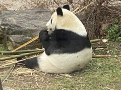 -沈阳森林动物园