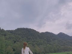 -龙井村