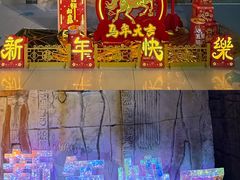 -合肥海洋世界