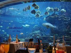 -迪拜帆船酒店海底餐厅