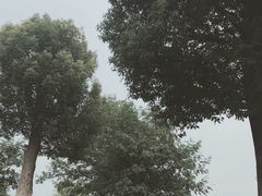 -云龙湖旅游景区