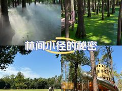 -东湖落雁景区