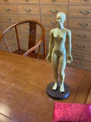 -养月堂中医养生月子会所(中心妇产店)