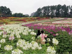 -保利石象湖景区