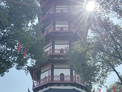 -绳金塔