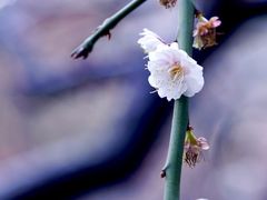 -静安雕塑公园
