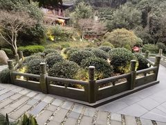 -十八棵（老龙井）御茶园(老龙井店)