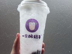 -一只酸奶牛(汕头金平万达广场店)