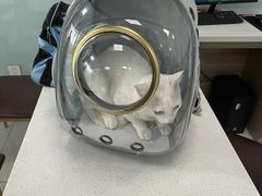 -嘉馨宠物医院·CT影像转诊·心脏科·犬猫全科诊疗中心(下沙大学城院区)