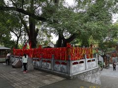 -大槐树寻根祭祖园