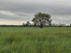 -赛汗塔拉风情园