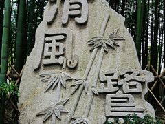 -陈家山荷花公园