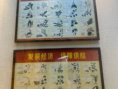 -广东中医药博物馆