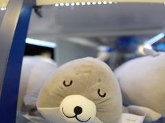 -上海海洋水族馆