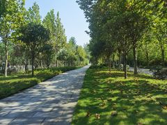 -大渡口区义渡公园