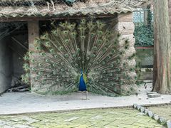 -南京金牛湖风景区