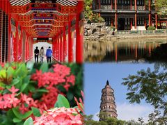 -顺峰山公园