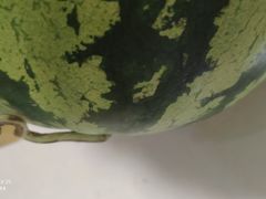 -天河沃尔玛