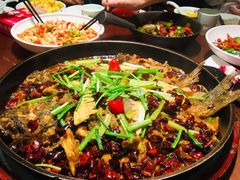 老板恋上鱼-老板恋上鱼(荣盛广场店)