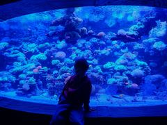 -太平洋海底世界