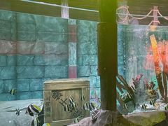 -沈阳海洋探索中心