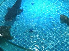 -紫阳家宴(源深店)