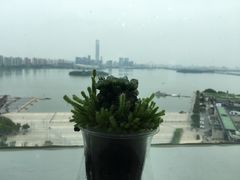 -洄归山也·高空C位湖景下午茶(东方之门店)